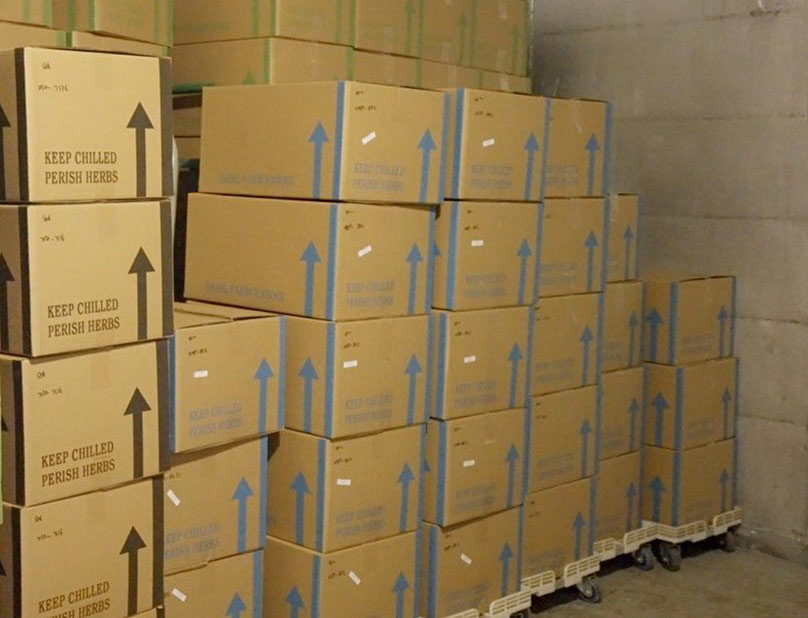 Shipping Our Basil Products Shipping Our Basil Products