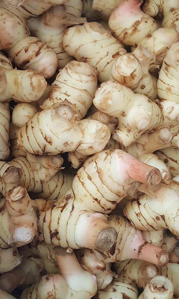 Hawaii Wholesale Galangal